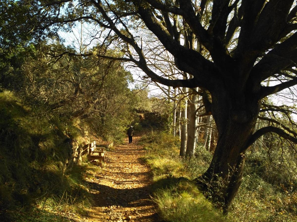 Natura Jordan Murillo de Gállego Εξωτερικό φωτογραφία