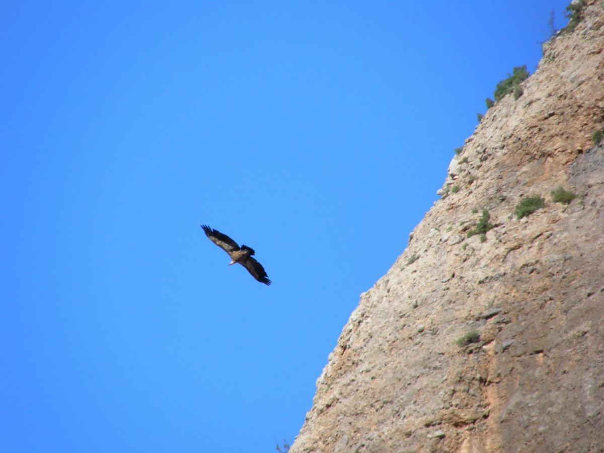 Natura Jordan Murillo de Gállego Εξωτερικό φωτογραφία