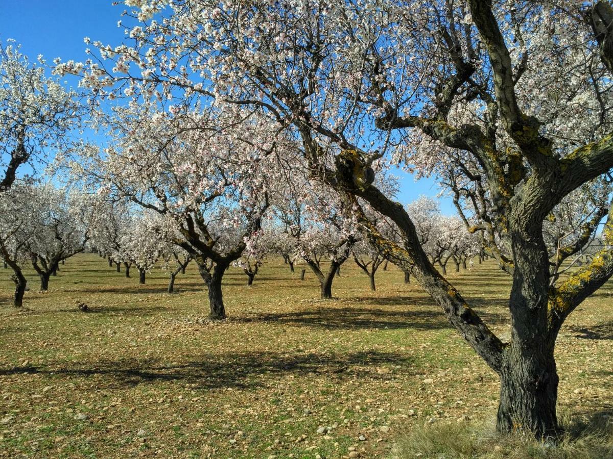 Natura Jordan Murillo de Gállego Εξωτερικό φωτογραφία