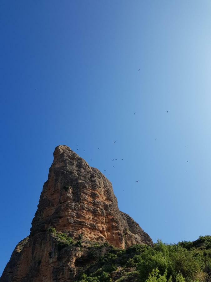 Natura Jordan Murillo de Gállego Εξωτερικό φωτογραφία